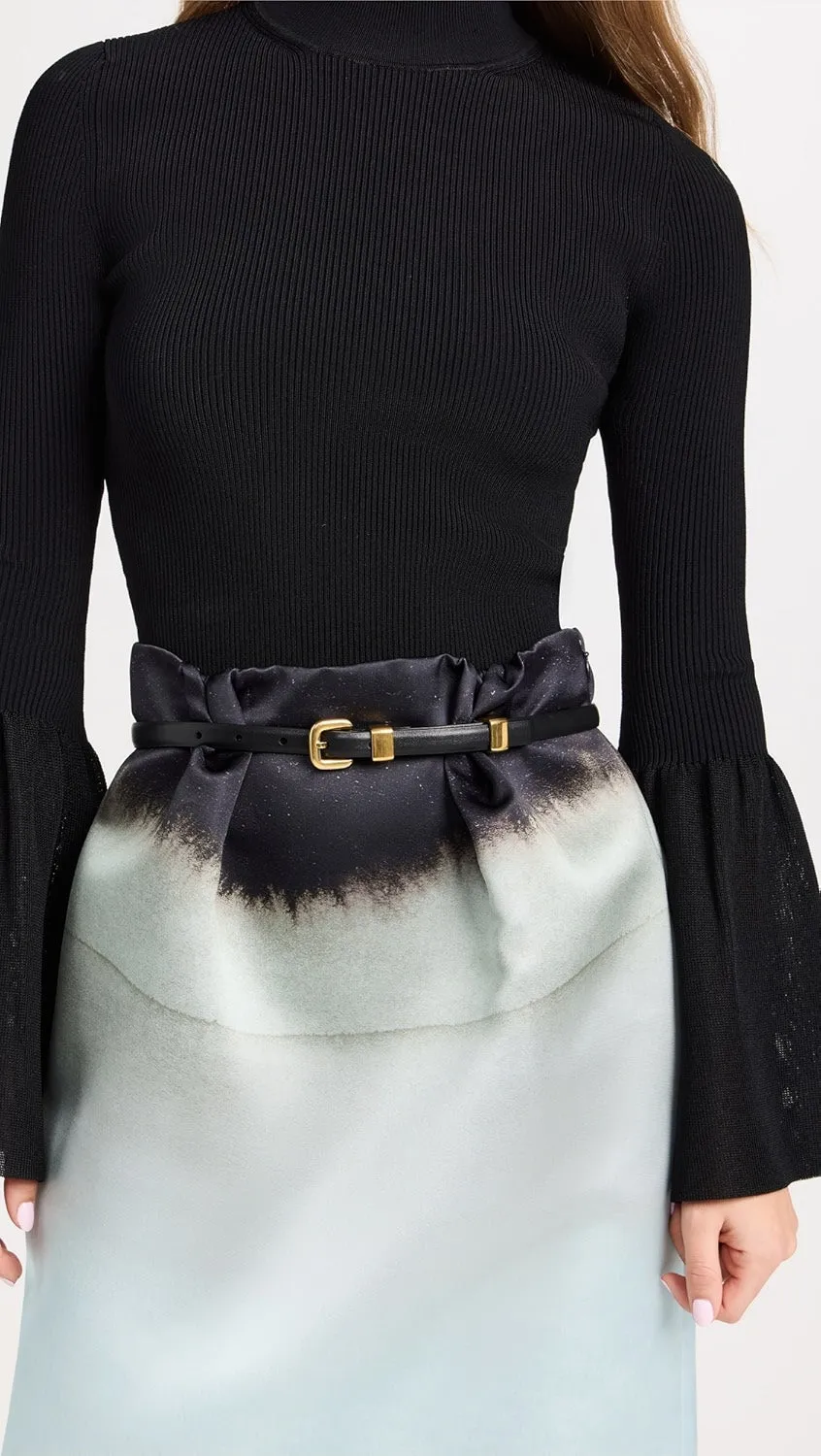 ALTUZARRA SKINNY BELT
