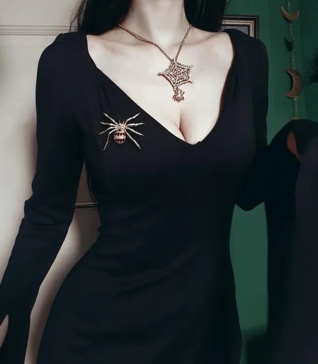 Big Ruby Spider Brooch