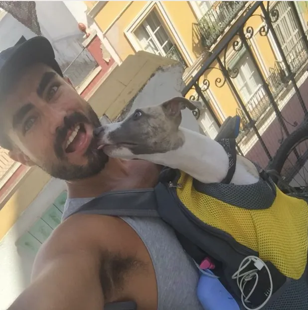 Dog Backpack