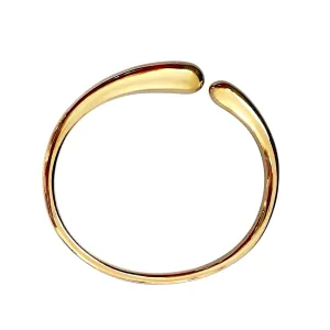 Fluid Bangle