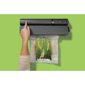 FoodSaver Handheld  2-in-1 Vacuum Sealing System