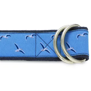 Gull Island - D-Ring Belts