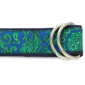 Innisfree Isle - D-Ring Belts
