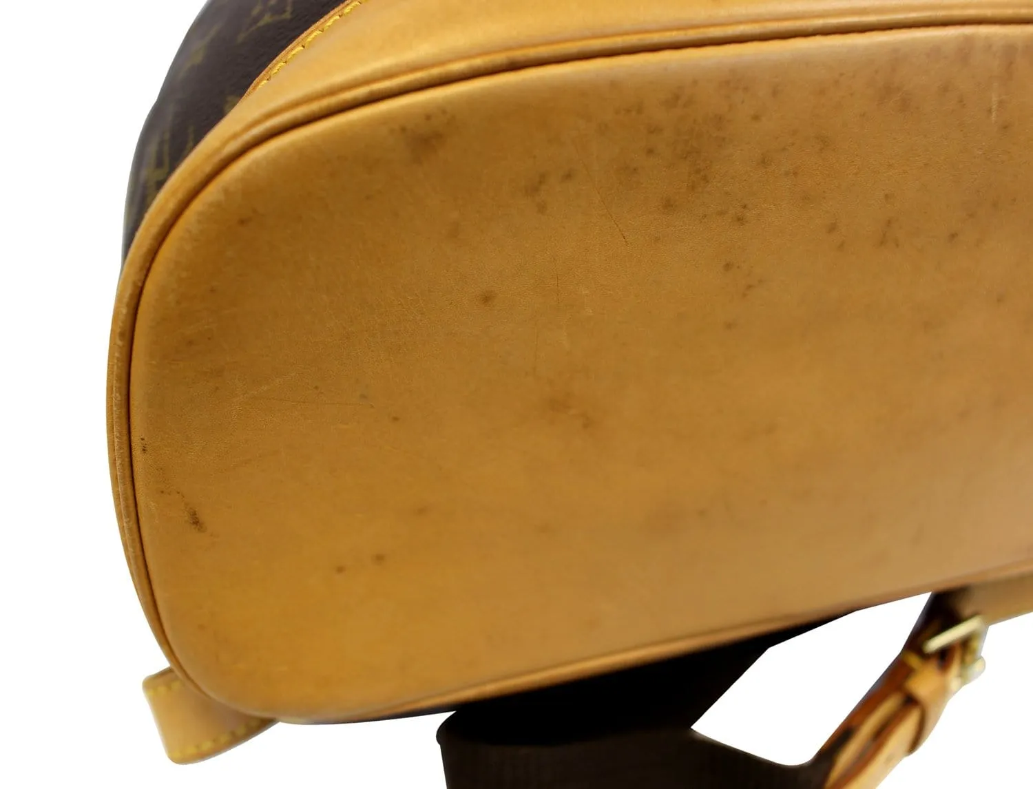 LOUIS VUITTON Monogram Canvas Montsouris GM Backpack