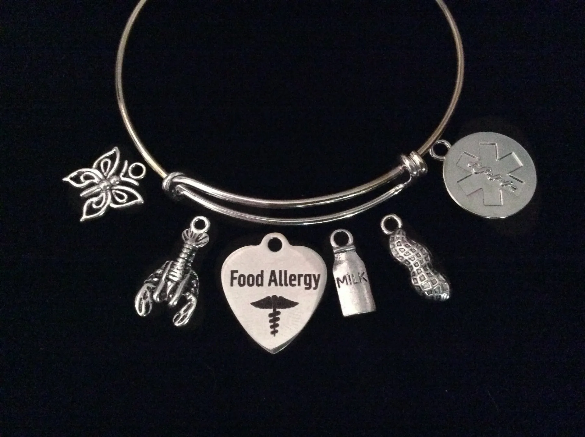 Medical Alert Food Allergy Expandable Charm Bracelet Silver Adjustable Bangle Gift Jewelry Shellfish, Milk, Peanuts