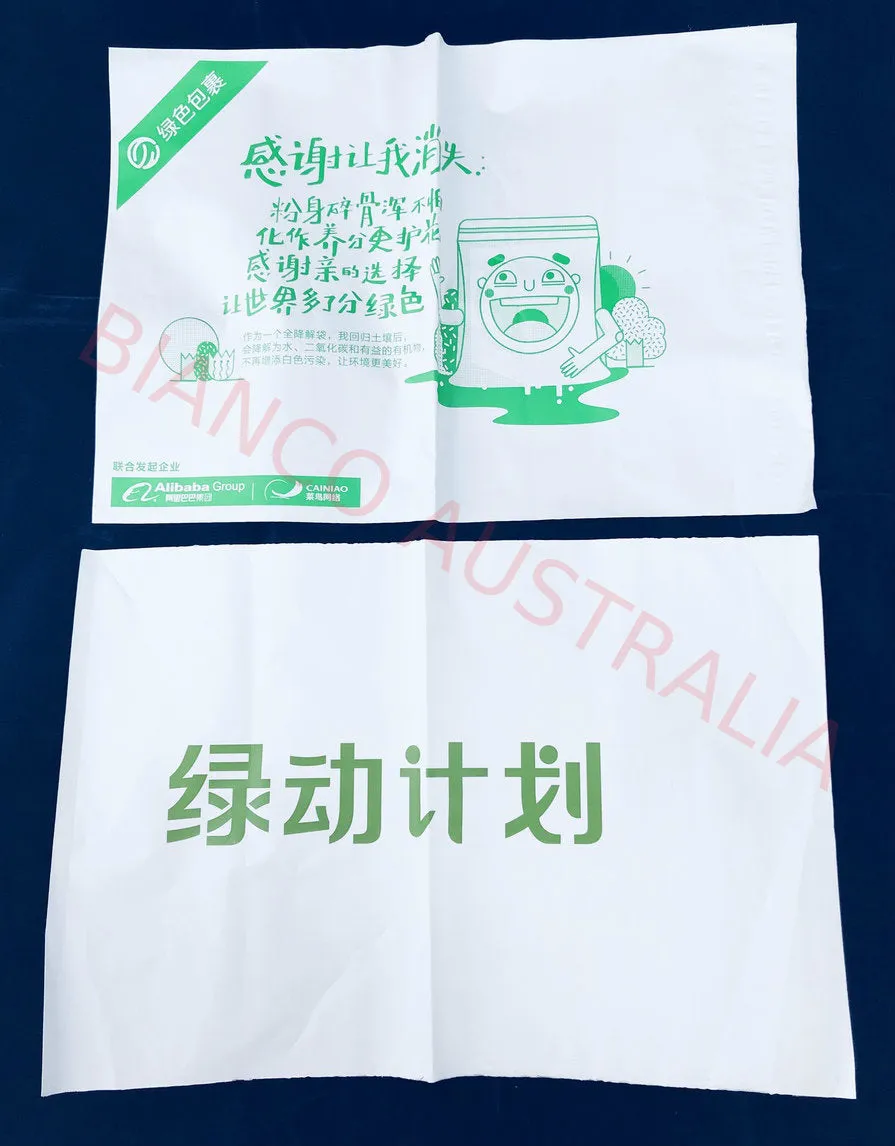 Satchel Bag (Biodegradable Material Available)