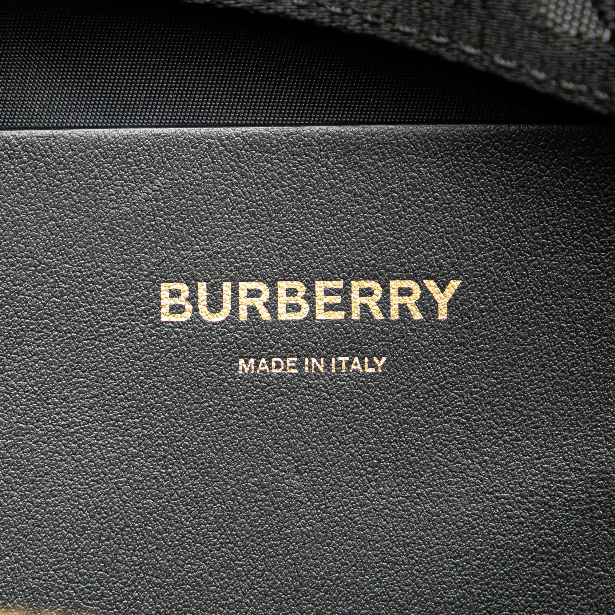 TB Monogram Nylon Sonny Belt Bag