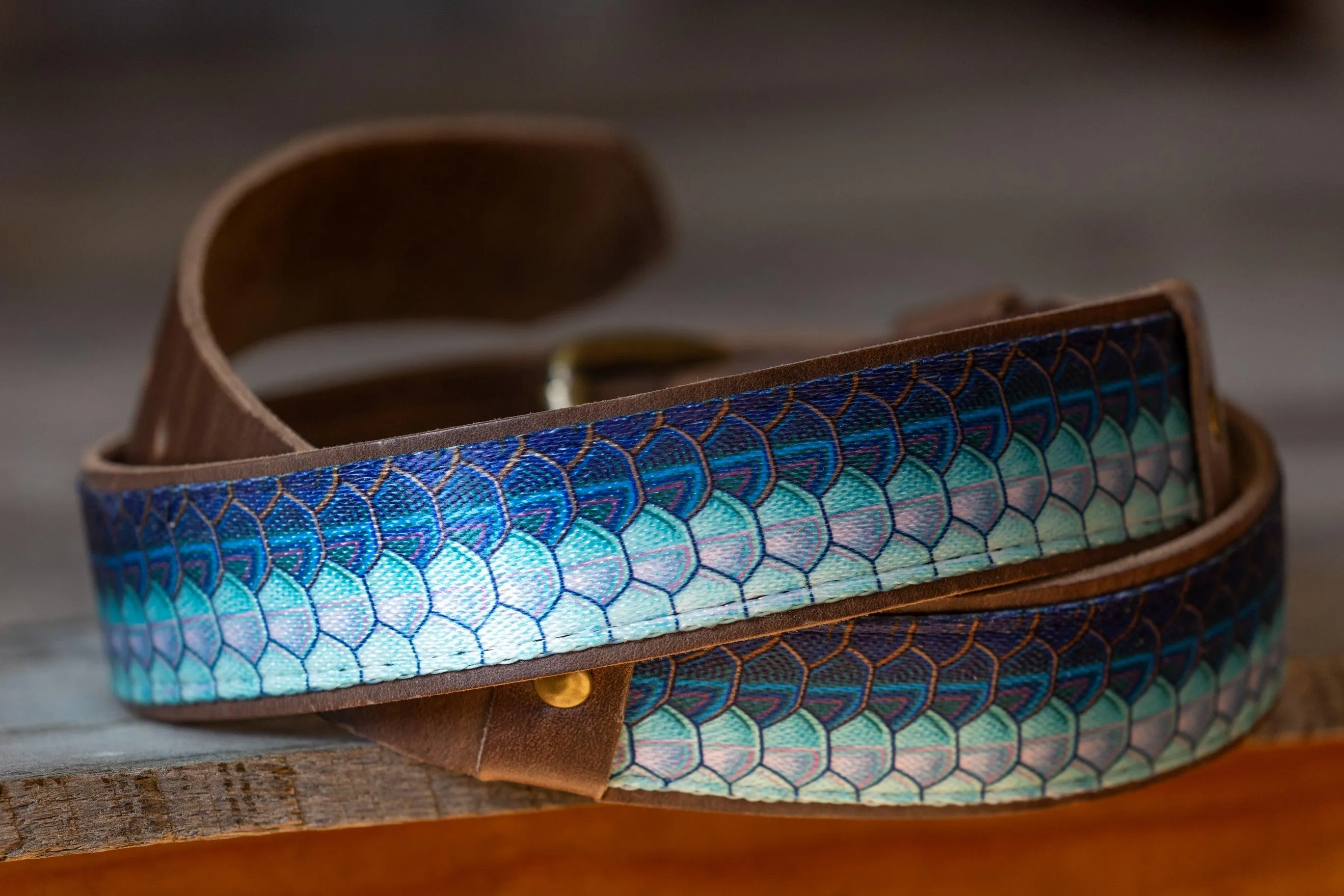 The Tarpon Belt
