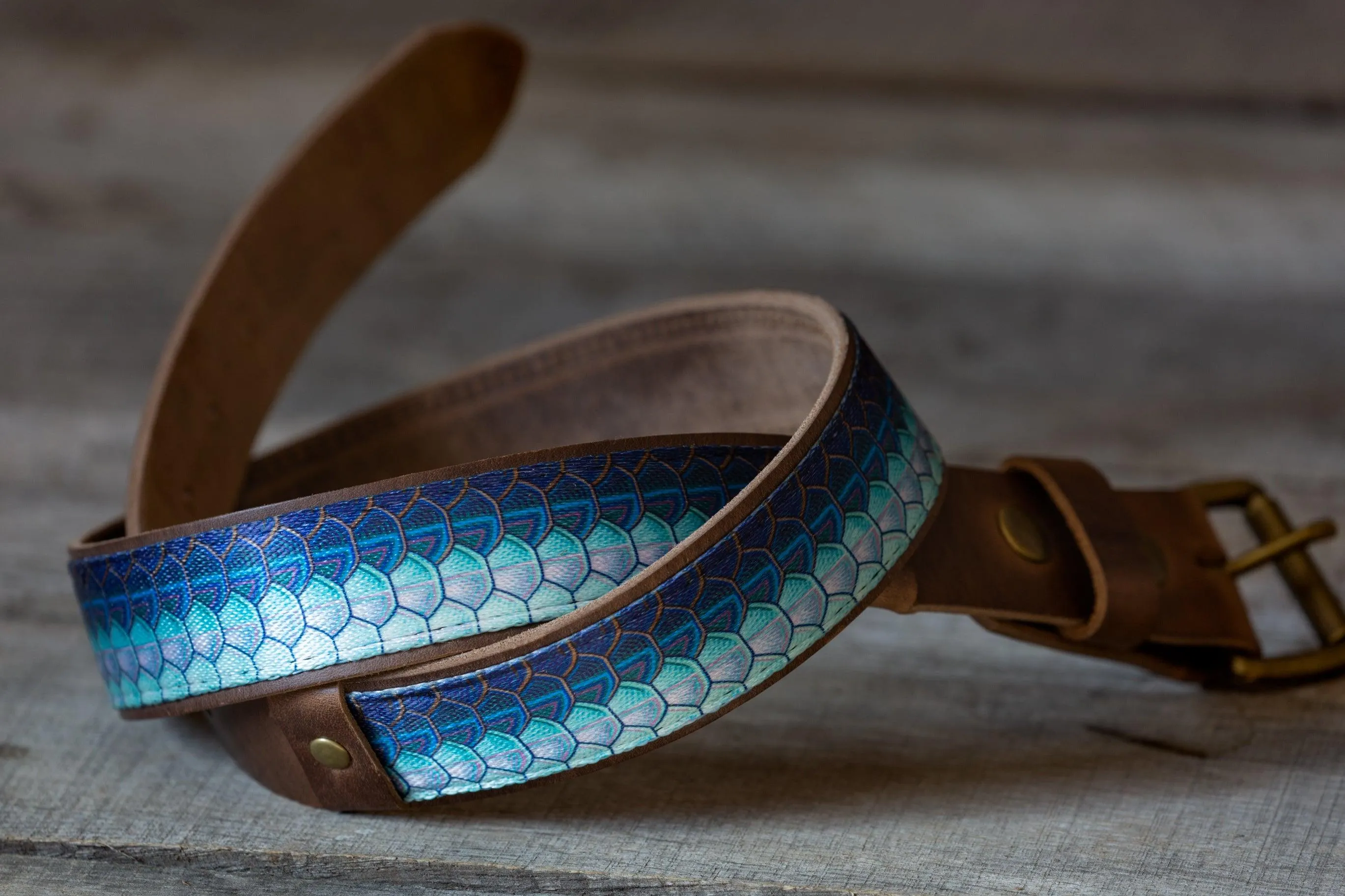The Tarpon Belt