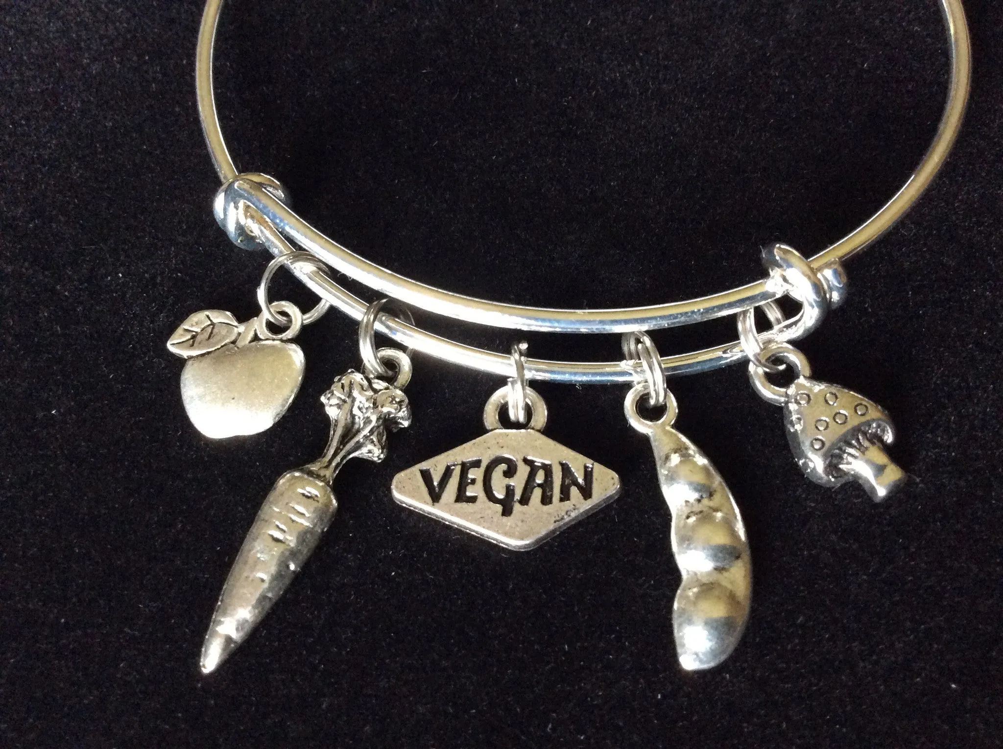 Vegan Expandable Adustable Silver Wire Bangle Bracelet Vegetable jewelry gift jewelry