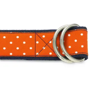 Wallonia - D-Ring Belts