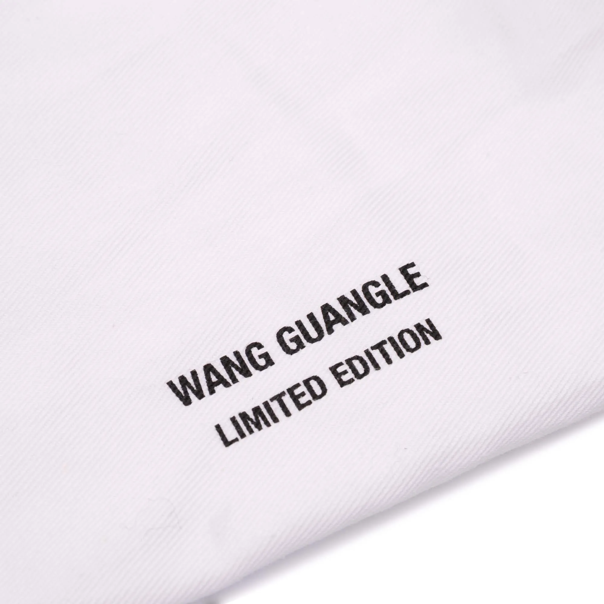 Wang Guangle Mini PVC Technical Fabric Lady Dior