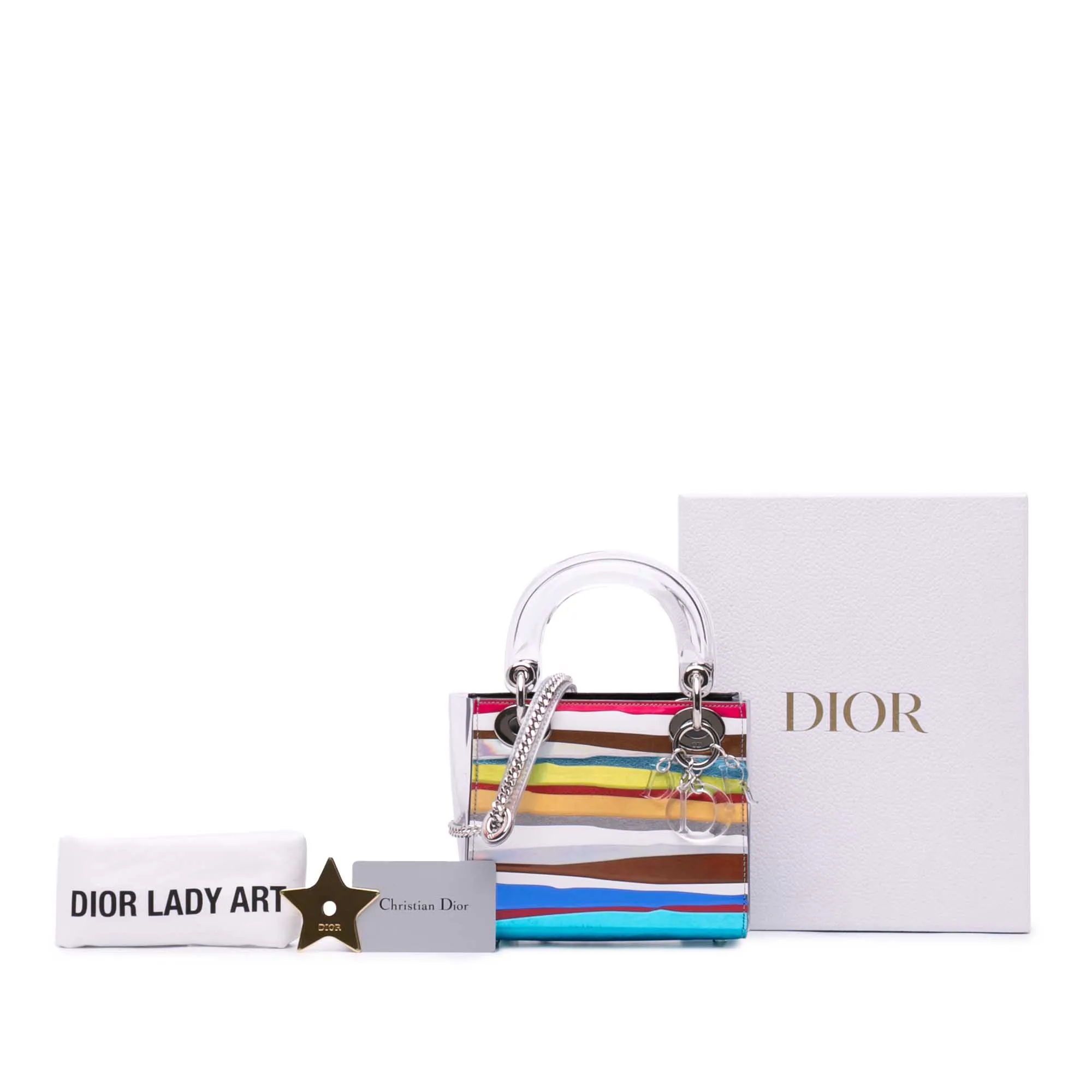 Wang Guangle Mini PVC Technical Fabric Lady Dior
